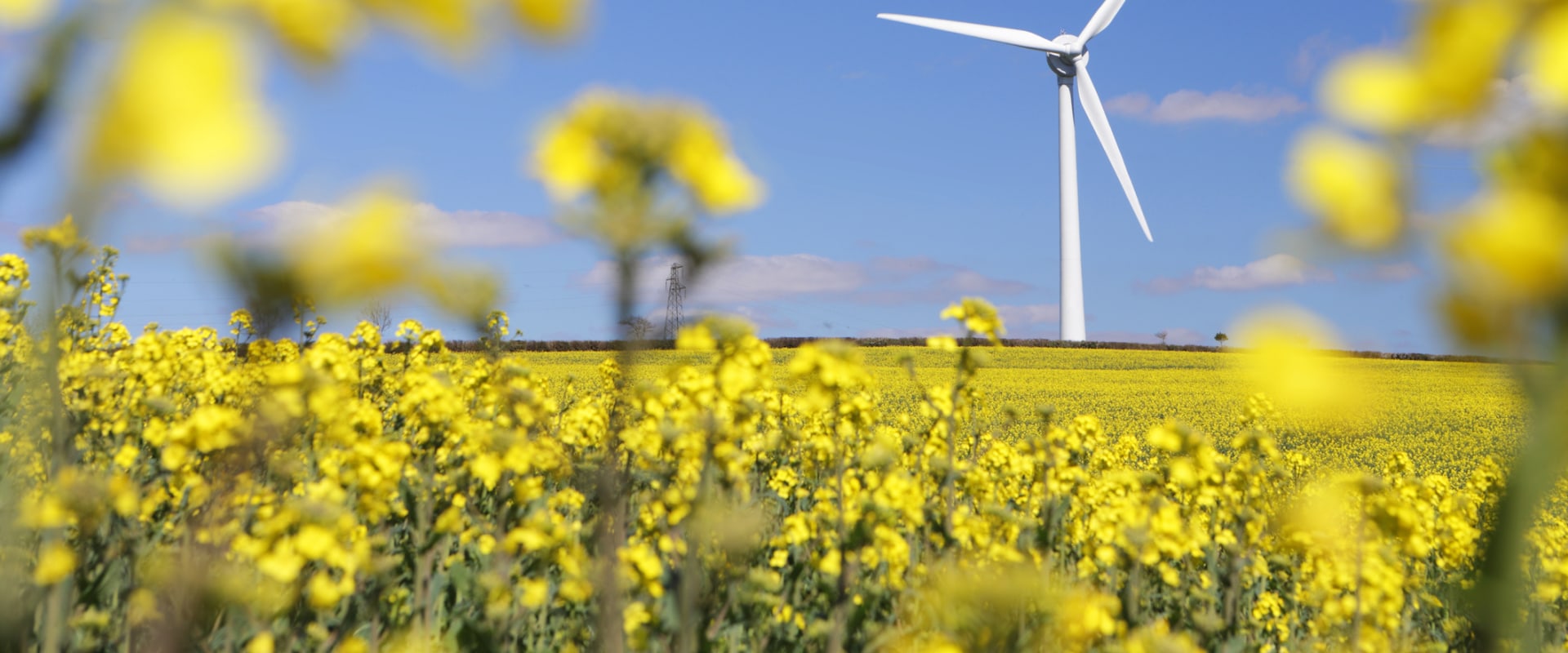The Risks and Rewards of Investing in Renewable Energy
