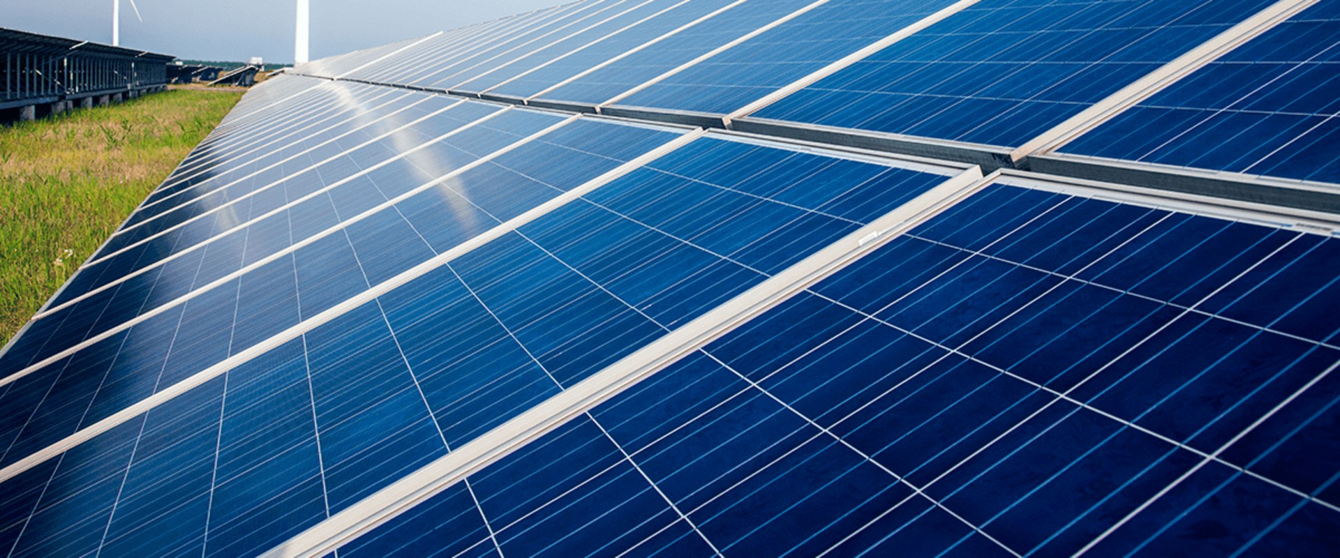 Which Renewable Energy is the Best Investment?