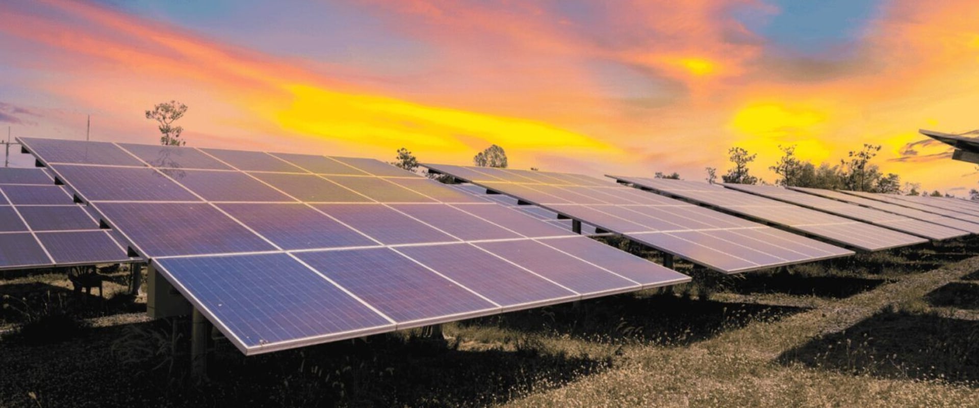 Investing in Renewable Energy: A Comprehensive Guide